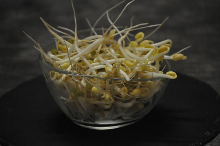 Bio Mungosprossen